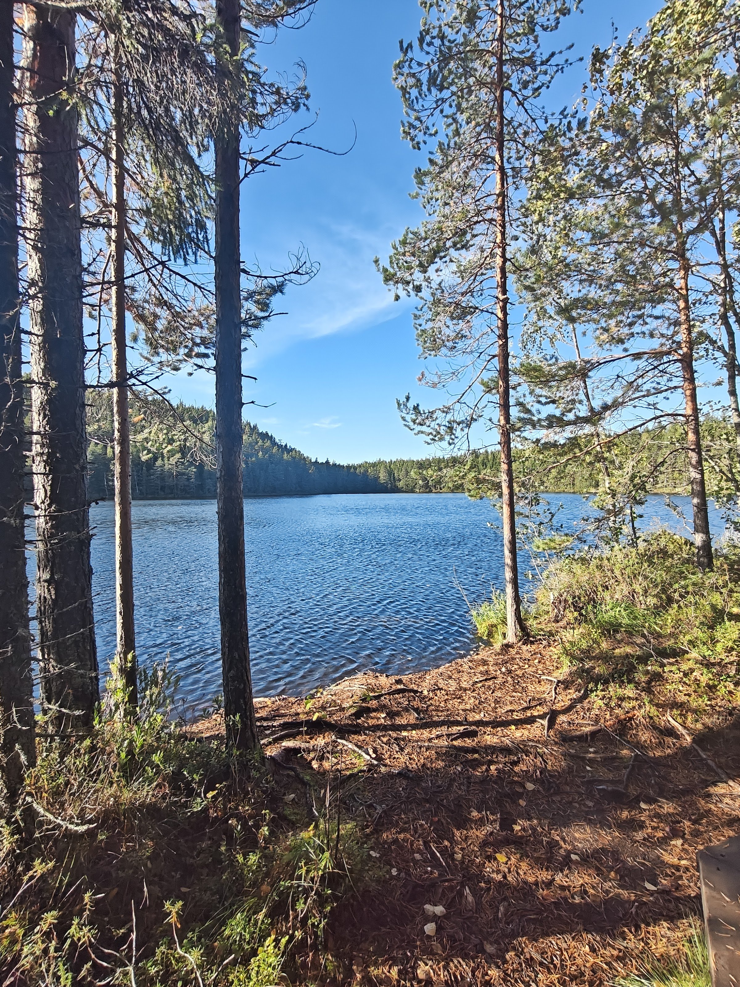 Etelä‑Konnevesi (Southern Konnevesi) National Park